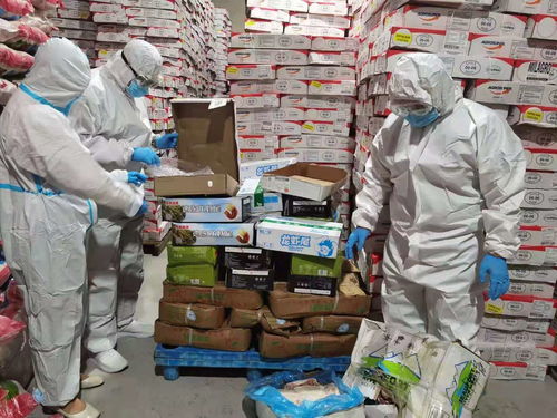 烏蘭察布市場監管局強化進口冷鏈食品與奶制品監管，突擊檢查批發及進出口環節