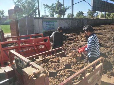 順豐洱海環(huán)保股份榮膺“云南省百戶(hù)優(yōu)強(qiáng)民營(yíng)企業(yè)”稱(chēng)號(hào)，生物質(zhì)能技術(shù)服務(wù)引領(lǐng)綠色新篇章